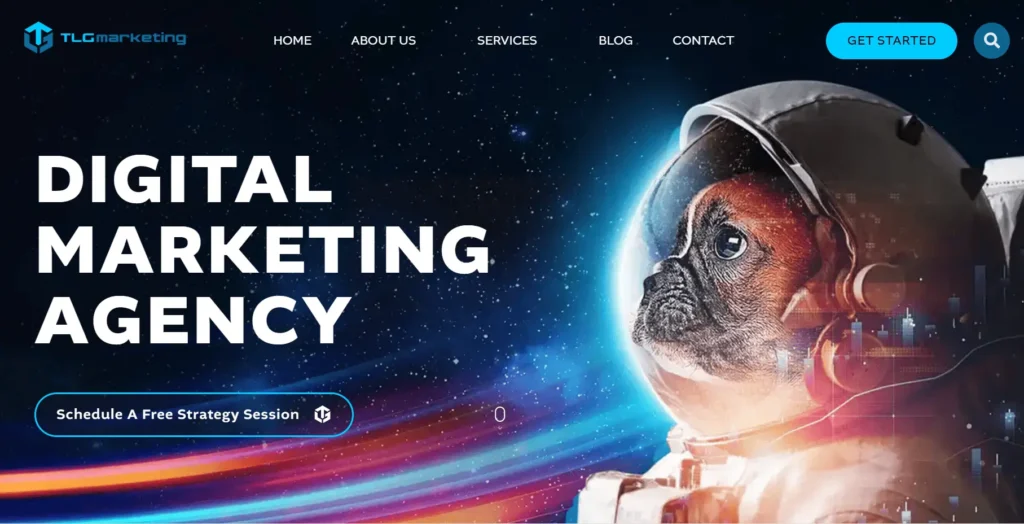 TLG Marketing Homepage
